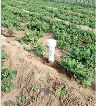 TDR土壤水分测量仪批发