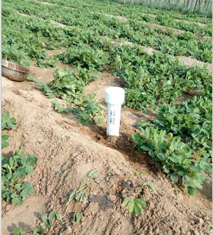 Y.TRS-1TDR土壤水分测量仪生产厂家