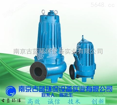 南京潜污泵 铸铁泵 吸淤泵 污水池抽水 工厂